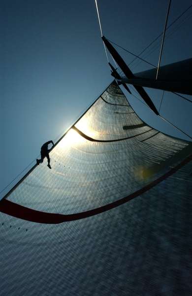  : Alinghi America's Cup : Daniel Goodrich 