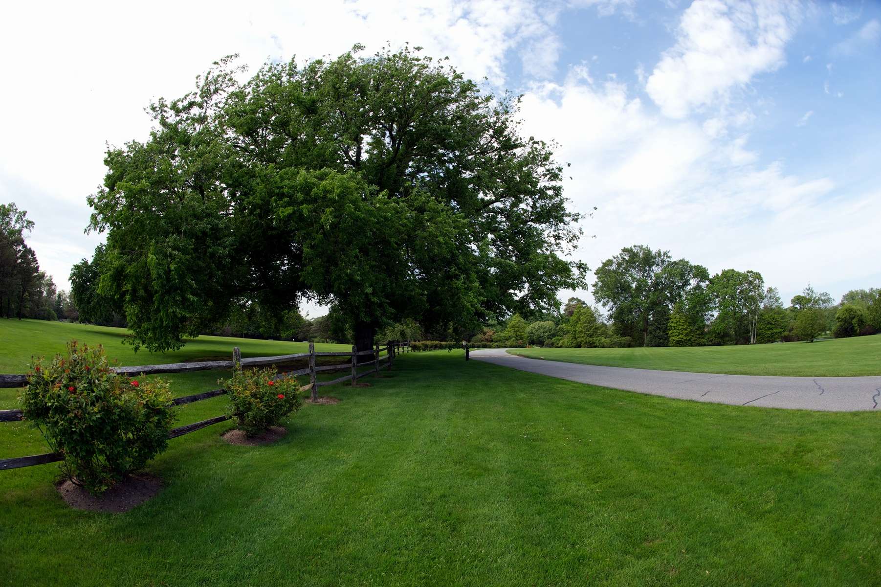  : real estate : Daniel Goodrich Productions, Inc.