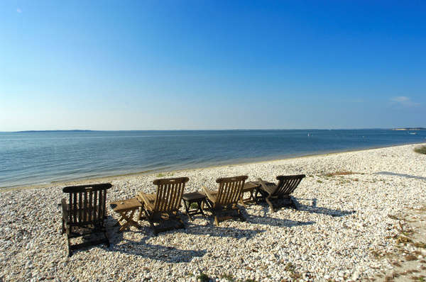  : real estate : Daniel Goodrich Productions, Inc.